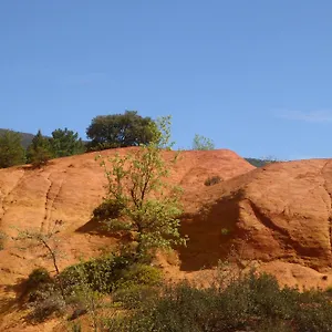 Perchée Dans Les Arbres Et Terrasse Ensoleillée , Robion France